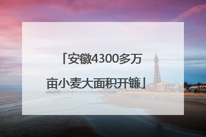 安徽4300多万亩小麦大面积开镰
