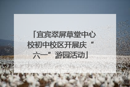 宜宾翠屏草堂中心校初中校区开展庆“六一”游园活动