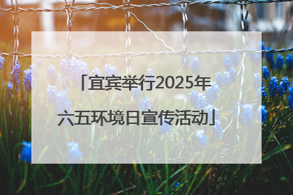 宜宾举行2025年六五环境日宣传活动