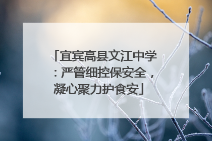 宜宾高县文江中学：严管细控保安全，凝心聚力护食安