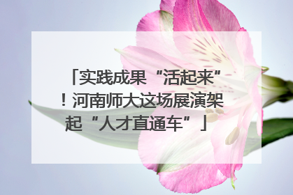 实践成果“活起来”！河南师大这场展演架起“人才直通车”