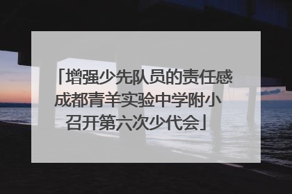 增强少先队员的责任感 成都青羊实验中学附小召开第六次少代会