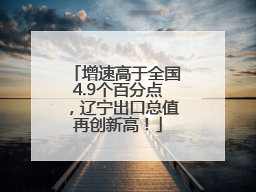 增速高于全国4.9个百分点，辽宁出口总值再创新高！