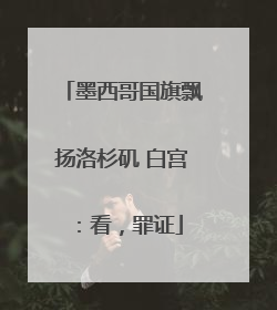 墨西哥国旗飘扬洛杉矶 白宫：看，罪证