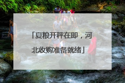 夏粮开秤在即，河北收购准备就绪