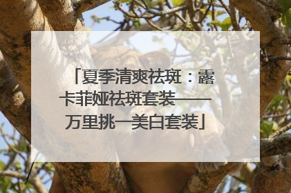夏季清爽祛斑：露卡菲娅祛斑套装——万里挑一美白套装