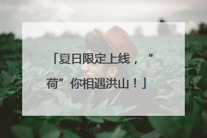 夏日限定上线，“荷”你相遇洪山！