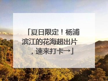 夏日限定！杨浦滨江的花海超出片，速来打卡→