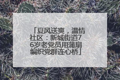 夏风送爽，温情社区：新城街道76岁老党员用蒲扇编织党群连心桥