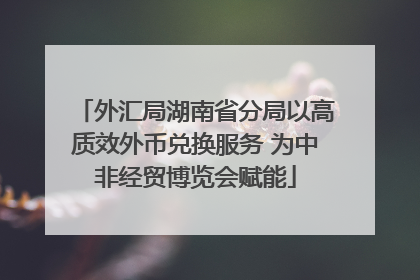 外汇局湖南省分局以高质效外币兑换服务 为中非经贸博览会赋能