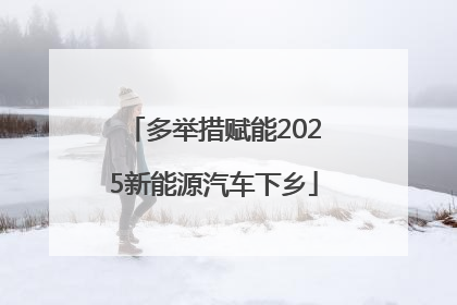 多举措赋能2025新能源汽车下乡