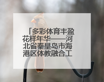 多彩体育丰盈花样年华——河北省秦皇岛市海港区体教融合工作掠影