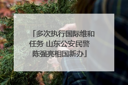 多次执行国际维和任务 山东公安民警陈强亮相国新办