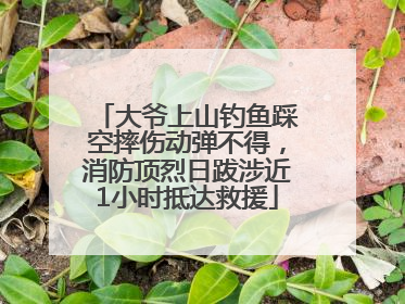 大爷上山钓鱼踩空摔伤动弹不得，消防顶烈日跋涉近1小时抵达救援
