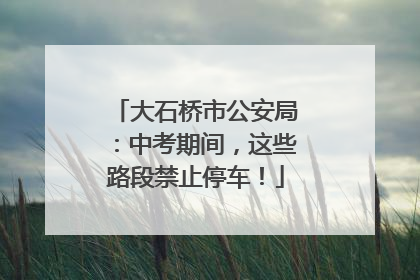 大石桥市公安局：中考期间，这些路段禁止停车！