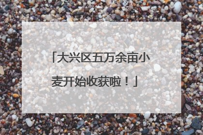 大兴区五万余亩小麦开始收获啦!