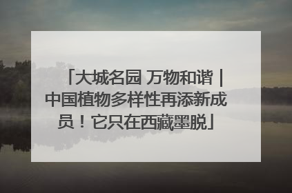 大城名园 万物和谐｜中国植物多样性再添新成员！它只在西藏墨脱