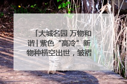大城名园 万物和谐│紫色“高冷”新物种横空出世，皱褶叶片暗藏进化密码