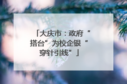 大庆市：政府“搭台”为校企银“穿针引线”