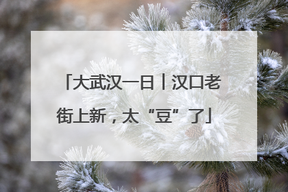 大武汉一日︱汉口老街上新，太“豆”了