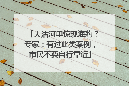 大沽河里惊现海豹？专家：有过此类案例，市民不要自行靠近