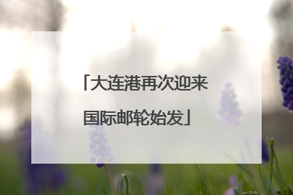 大连港再次迎来国际邮轮始发