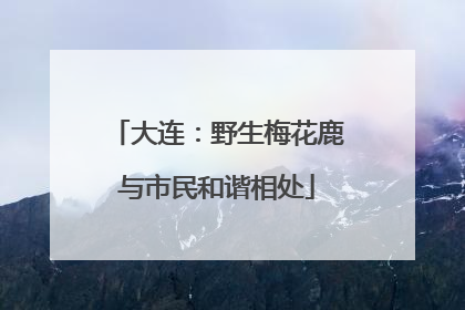 大连：野生梅花鹿与市民和谐相处