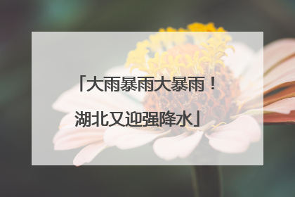 大雨暴雨大暴雨！湖北又迎强降水