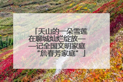 天山的一朵雪莲在聊城灿烂绽放——记全国文明家庭“詹春芳家庭”