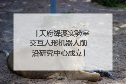 天府绛溪实验室交互人形机器人前沿研究中心成立