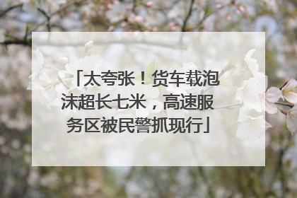 太夸张！货车载泡沫超长七米，高速服务区被民警抓现行