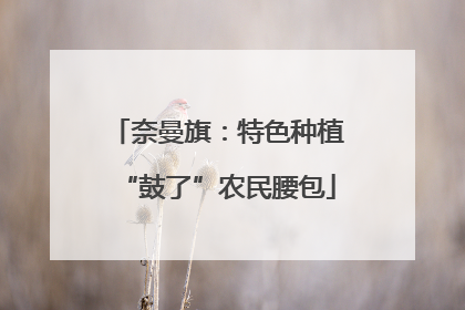 奈曼旗：特色种植“鼓了”农民腰包