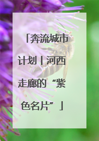 奔流城市计划丨河西走廊的“紫色名片”