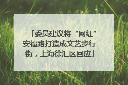 委员建议将“网红”安福路打造成文艺步行街，上海徐汇区回应