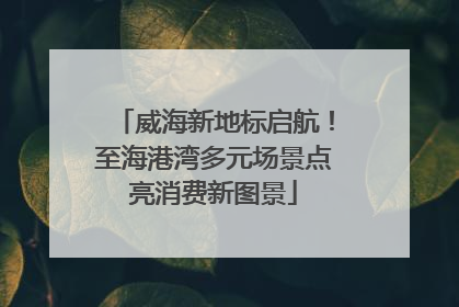 威海新地标启航！至海港湾多元场景点亮消费新图景
