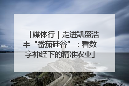 媒体行｜走进凯盛浩丰“番茄硅谷”：看数字神经下的精准农业