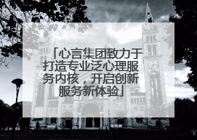 心言集团致力于打造专业泛心理服务内核，开启创新服务新体验