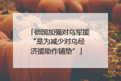 德国加强对乌军援 “是为减少对乌经济援助作铺垫”