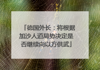 德国外长：将根据加沙人道局势决定是否继续向以方供武