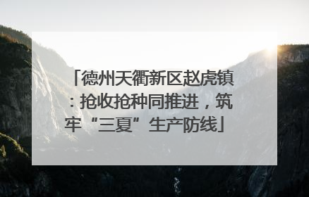 德州天衢新区赵虎镇：抢收抢种同推进，筑牢“三夏”生产防线