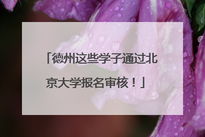 德州这些学子通过北京大学报名审核！