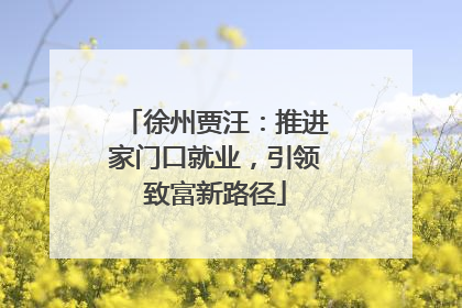 徐州贾汪：推进家门口就业，引领致富新路径