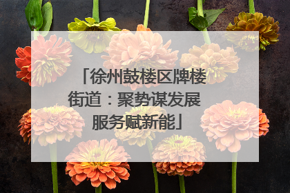 徐州鼓楼区牌楼街道：聚势谋发展 服务赋新能
