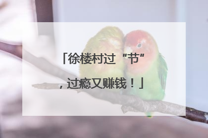 徐楼村过“节”，过瘾又赚钱！