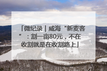 微纪录｜威海“新麦客”：割一亩80元，不在收割就是在收割路上