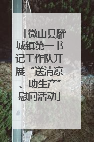 微山县驩城镇第一书记工作队开展“送清凉、助生产”慰问活动