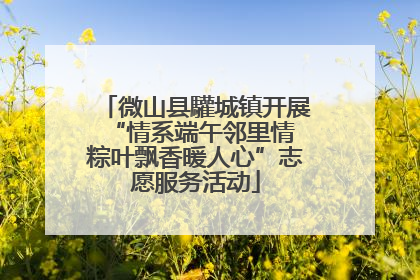 微山县驩城镇开展“情系端午邻里情 粽叶飘香暖人心”志愿服务活动