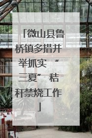 微山县鲁桥镇多措并举抓实 “三夏” 秸秆禁烧工作