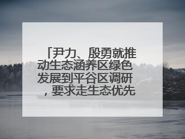 尹力、殷勇就推动生态涵养区绿色发展到平谷区调研，要求走生态优先、绿色低碳的高质量发展之路