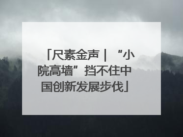 尺素金声｜“小院高墙”挡不住中国创新发展步伐